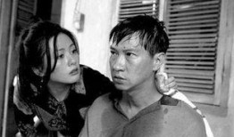 李丽珍红河在线观看,重温经典，感受红河风情