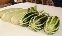 各种网红吃瓜事件图片,盘点那些引发热议的瞬间